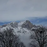 Fink-hof * Wildermieming