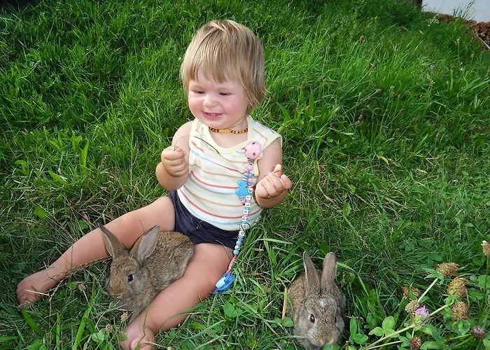 Fink-hof Apartamento *