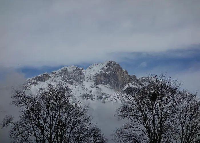 Fink-hof * Wildermieming