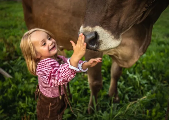 Fink-hof Wildermieming