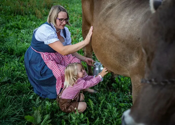 Fink-hof Wildermieming