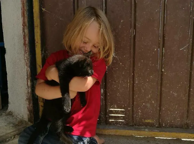 Apartamento Fink-hof *