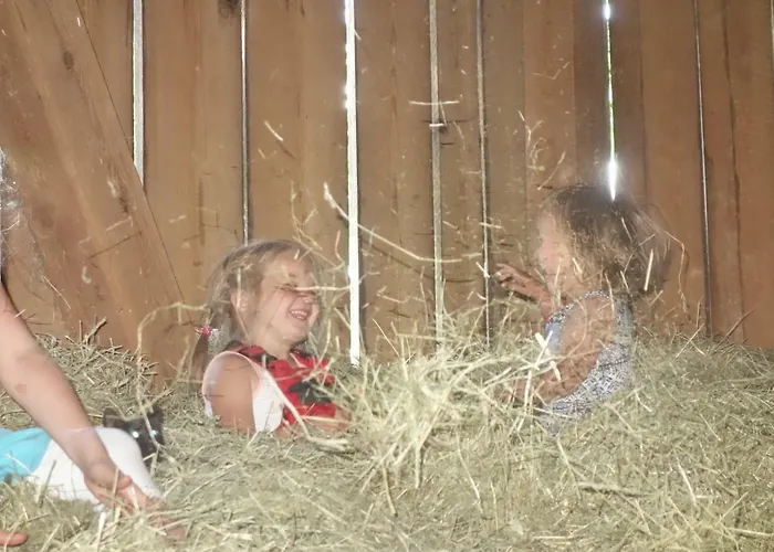 Fink-hof Apartamento *