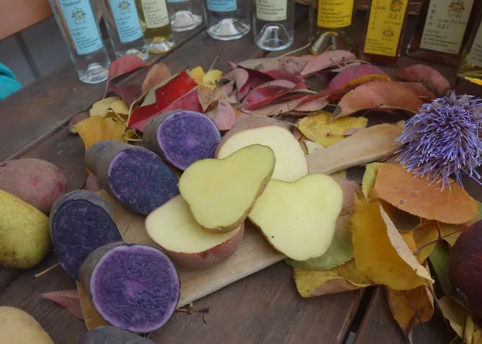 Fink-hof Wildermieming