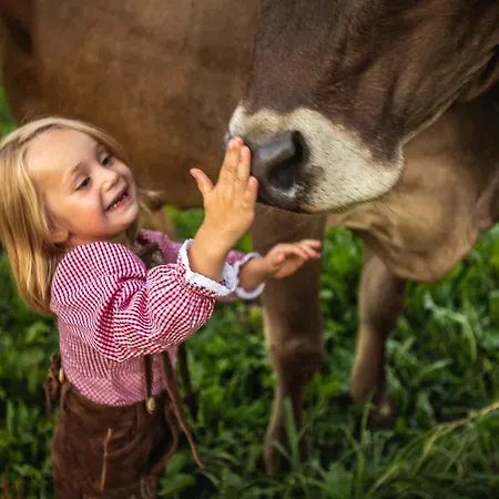 Fink-hof Wildermieming