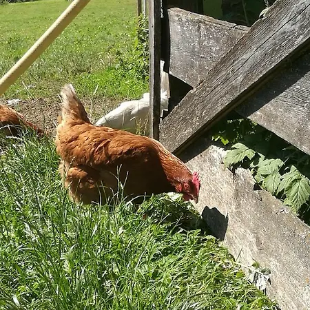 Lejlighed Fink-hof *