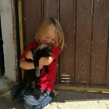 Lejlighed Fink-hof *