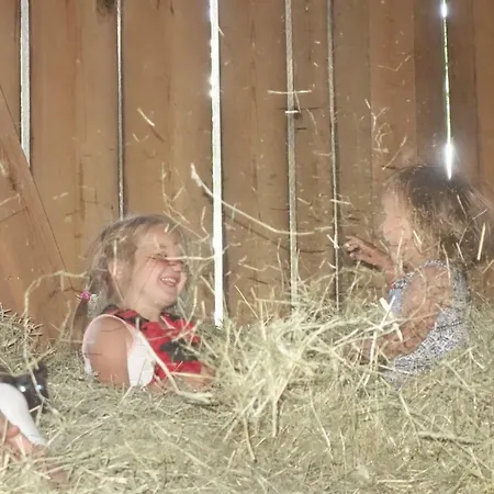 Fink-hof Lejlighed *