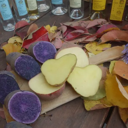 Fink-hof Wildermieming