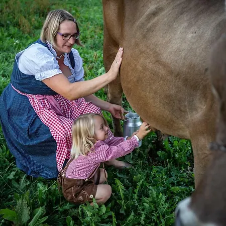 Fink-hof Wildermieming